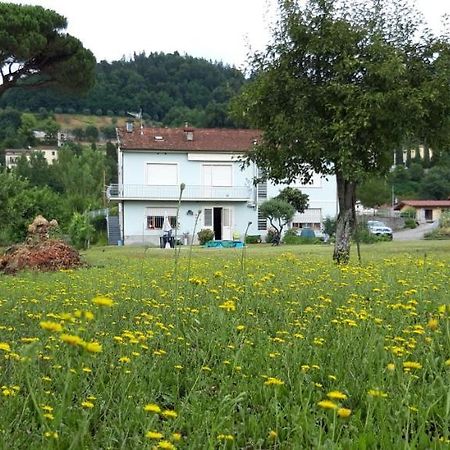 Affittacamere La Foresta Di Sopra บาร์กา ภายนอก รูปภาพ