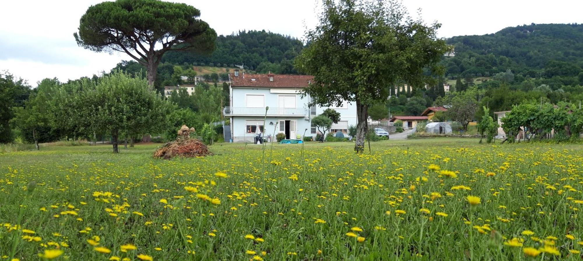 Affittacamere La Foresta Di Sopra บาร์กา ภายนอก รูปภาพ