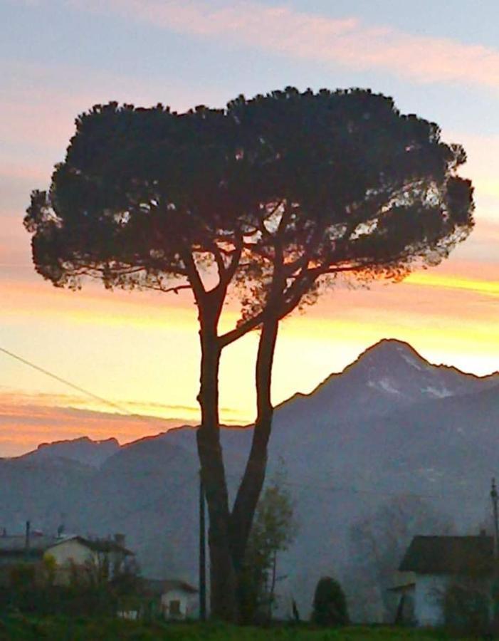 Affittacamere La Foresta Di Sopra บาร์กา ภายนอก รูปภาพ