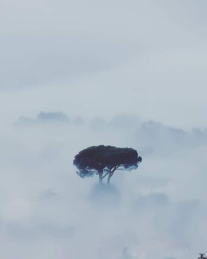 Affittacamere La Foresta Di Sopra บาร์กา ภายนอก รูปภาพ