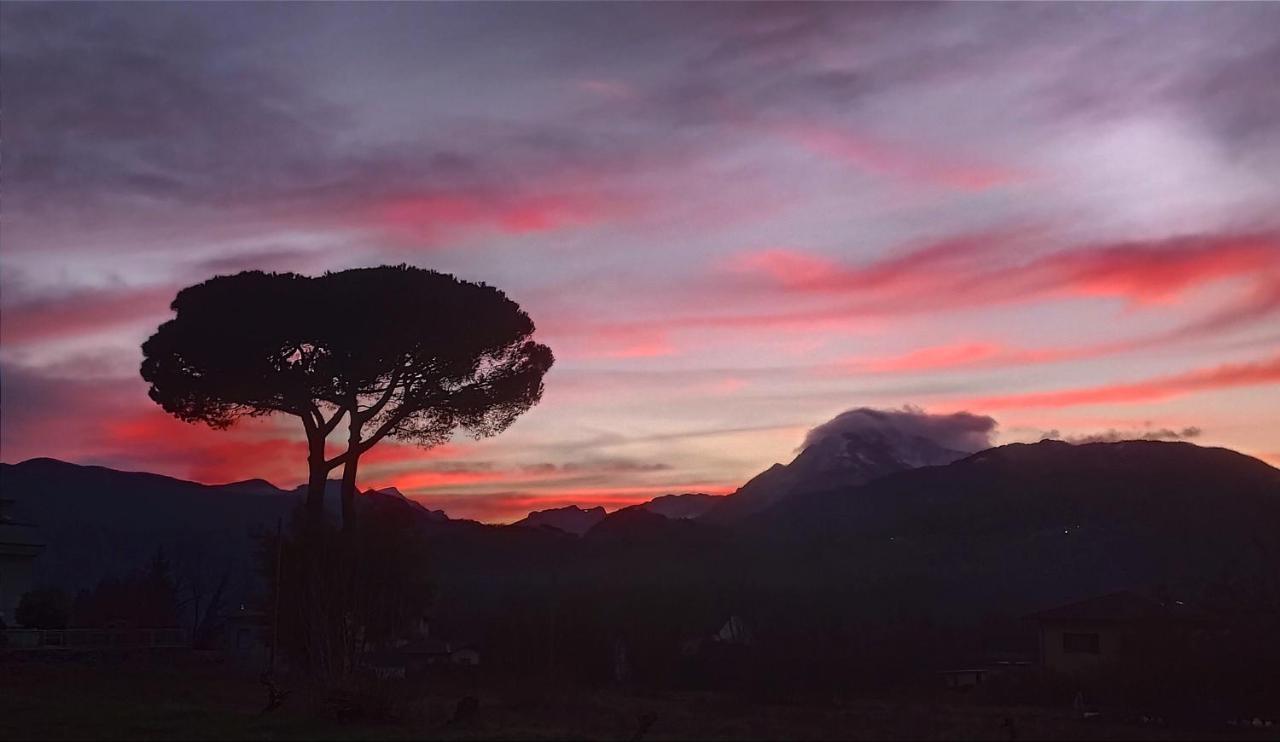 Affittacamere La Foresta Di Sopra บาร์กา ภายนอก รูปภาพ