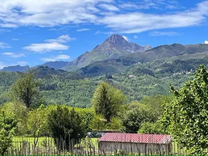 Affittacamere La Foresta Di Sopra บาร์กา ภายนอก รูปภาพ