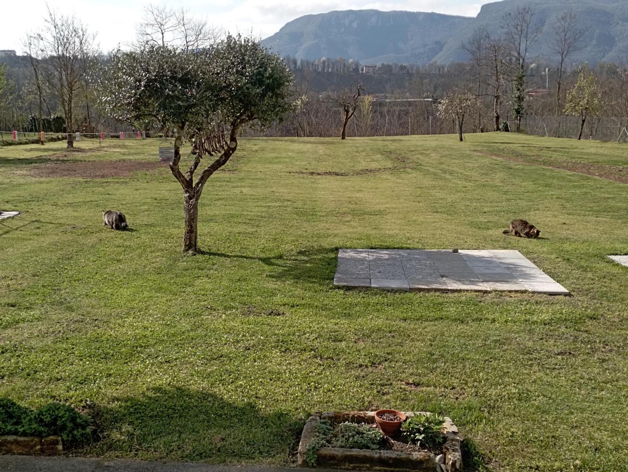 Affittacamere La Foresta Di Sopra บาร์กา ภายนอก รูปภาพ